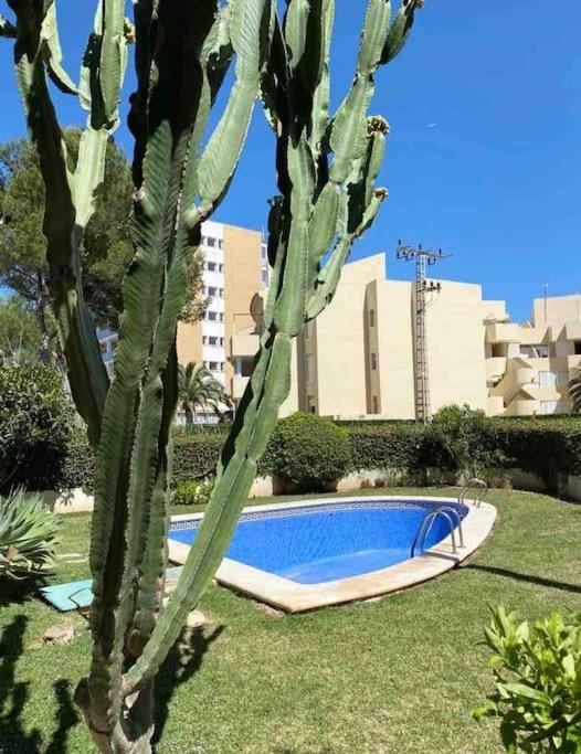 Apartamento El Canal Шабія Екстер'єр фото